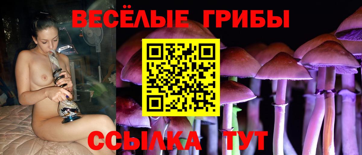 Галлюциногенные грибы Psilocybine cubensis Бахчисарай